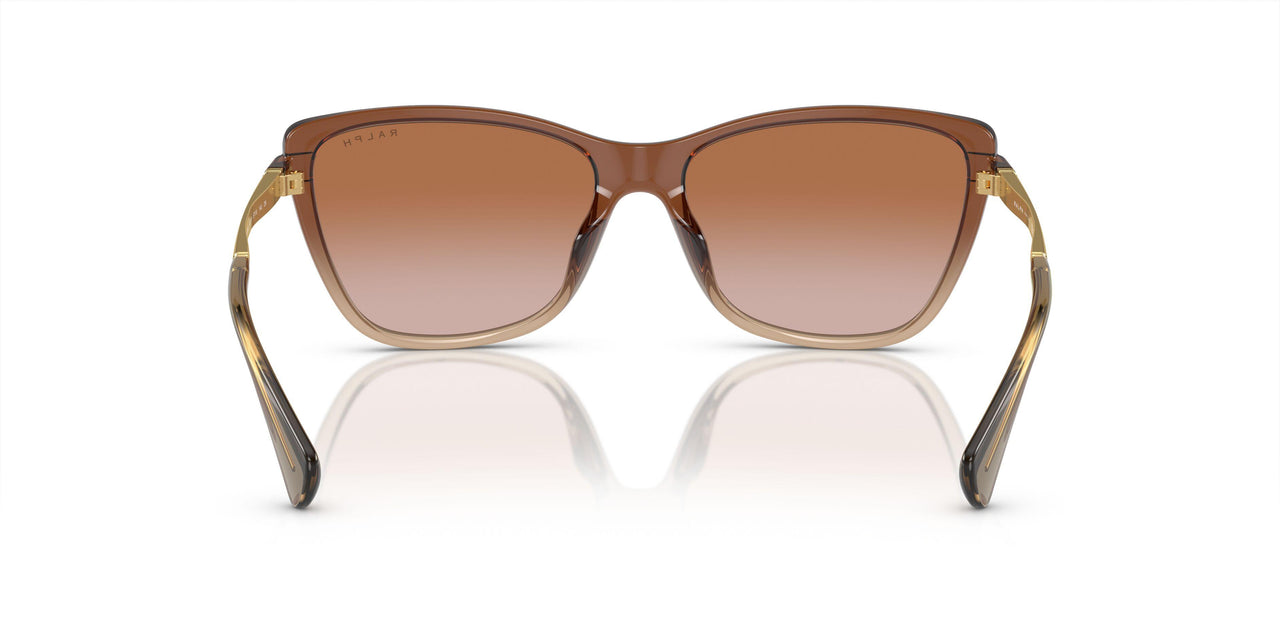 613313 - Brown - Gradient Brown