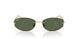 001/9A - Gold - Dark Green Polarized