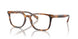 6161 - Tortoise