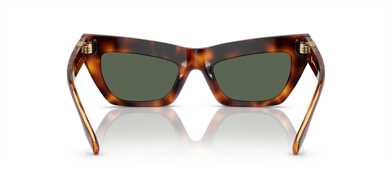 331671 - Tortoise - Dark Green