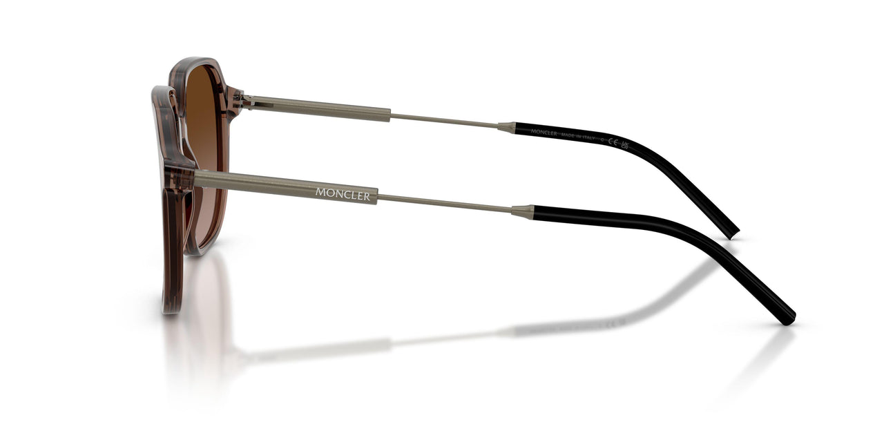 301813 - Brown - Gradient Brown