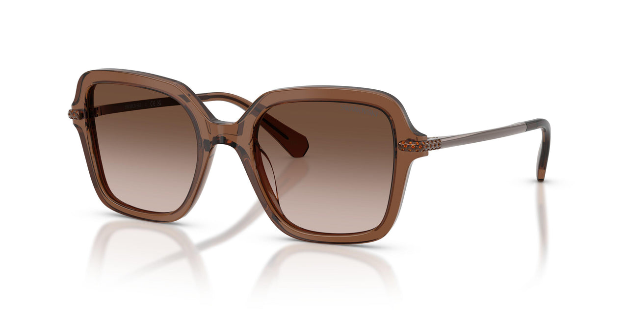 106713 - Brown - Brown Gradient
