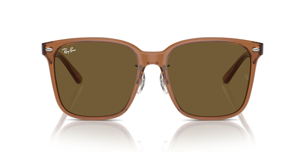 663673 - Brown - Dark Brown