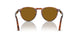115733 - Multi - Brown