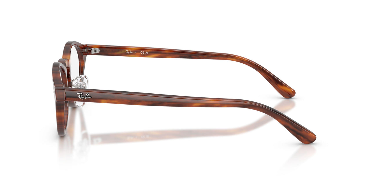2144 - Brown - Demo Bio