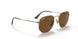 920757 - Gold - Polar Brown