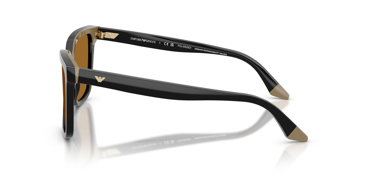 631383 - Black - Polar Brown