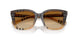 420213 - Brown - Brown Gradient