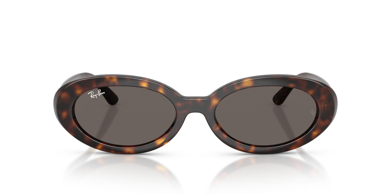 902/B1 - Tortoise - Dark Grey