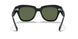 901/58 - Black - Polar Green