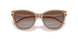 626313 - Brown - Gradient Brown
