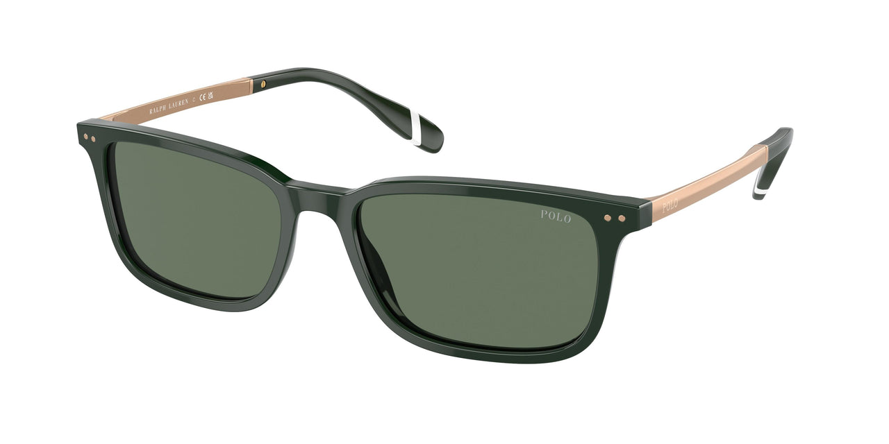 Polo 4212 Sunglasses
