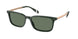 Polo 4212 Sunglasses