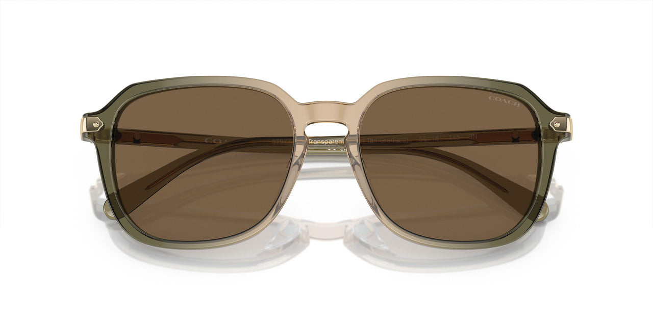 579773 - Transparent Green Tan Gradient - Brown Solid