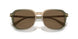579773 - Transparent Green Tan Gradient - Brown Solid
