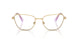 4036 - Gold