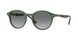 309211 - Green - Grey Gradient