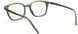 5540 - Deep Green