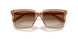 507613 - Brown - Brown Gradient