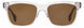 STATE Optical Co. KNOXSW Sunglasses