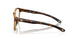 802503 - Tortoise