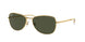 Ray-Ban 3733 Sunglasses