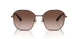400213 - Brown - Gradient Brown