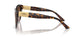 500213 - Tortoise - Gradient Brown