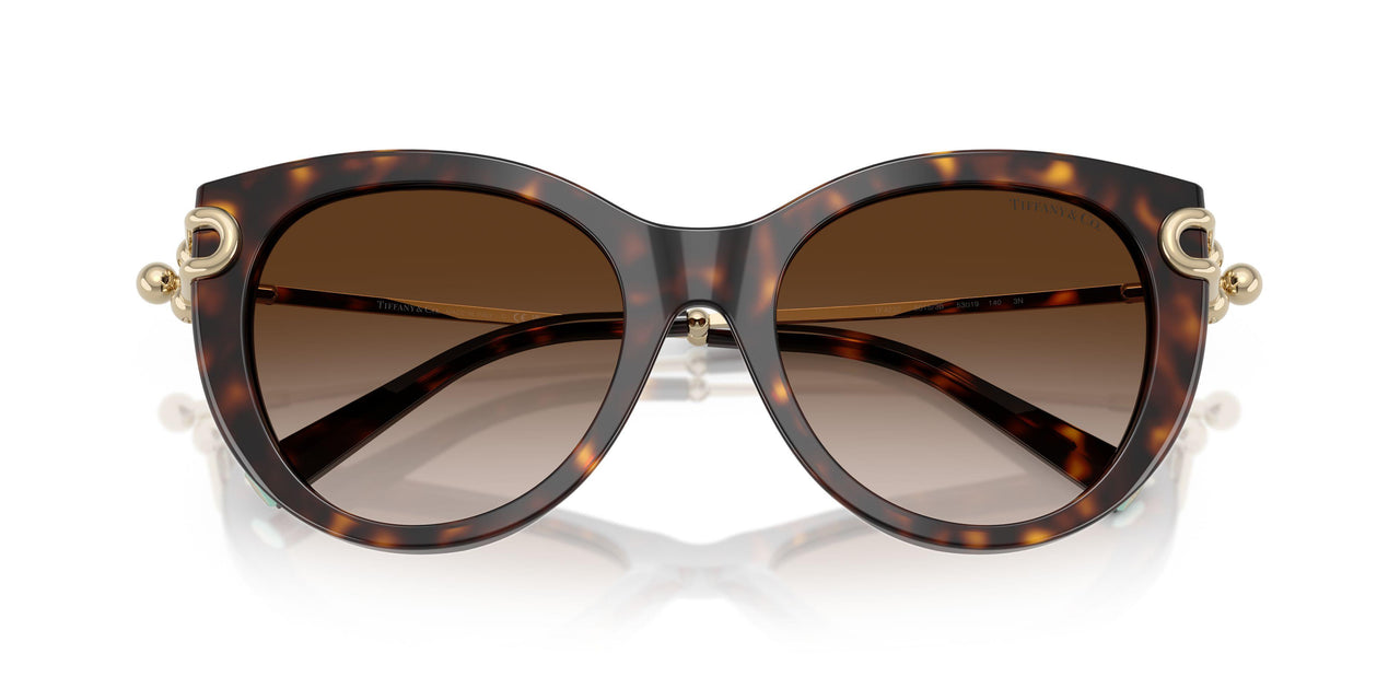 80153B - Tortoise - Brown Gradient