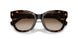 500313 - Brown - Gradient Brown