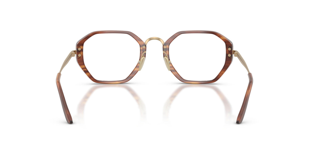 6162 - Tortoise