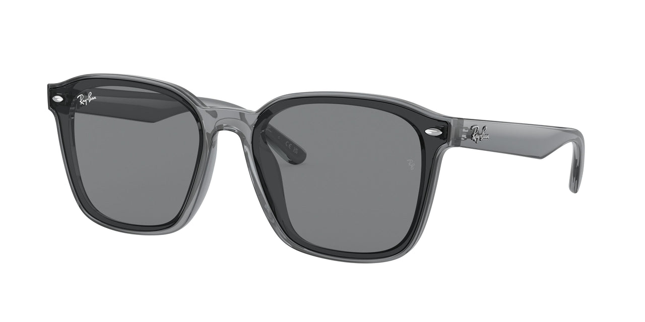 Ray-Ban 4392D Sunglasses