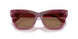 317973 - Pink - Dark Brown