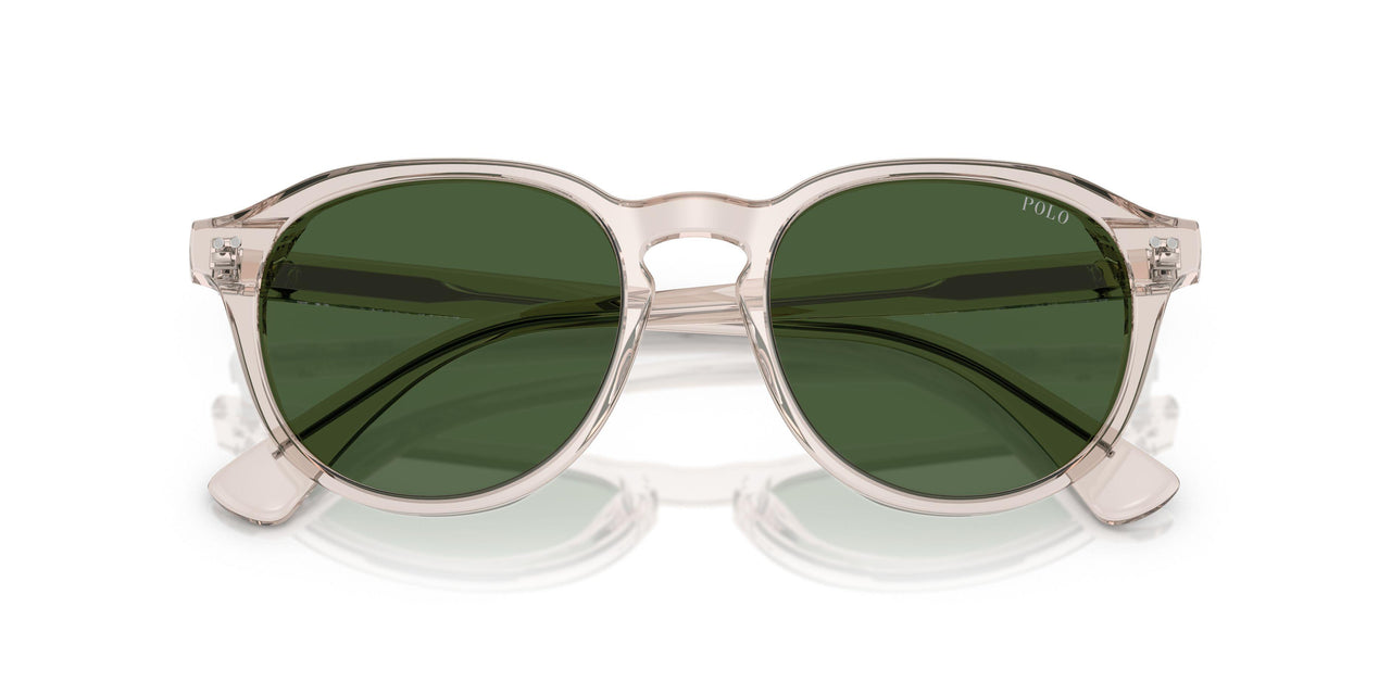 611771 - Brown - Bottle Green