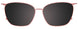 30 - Pink & Pink Tortoise / Pink