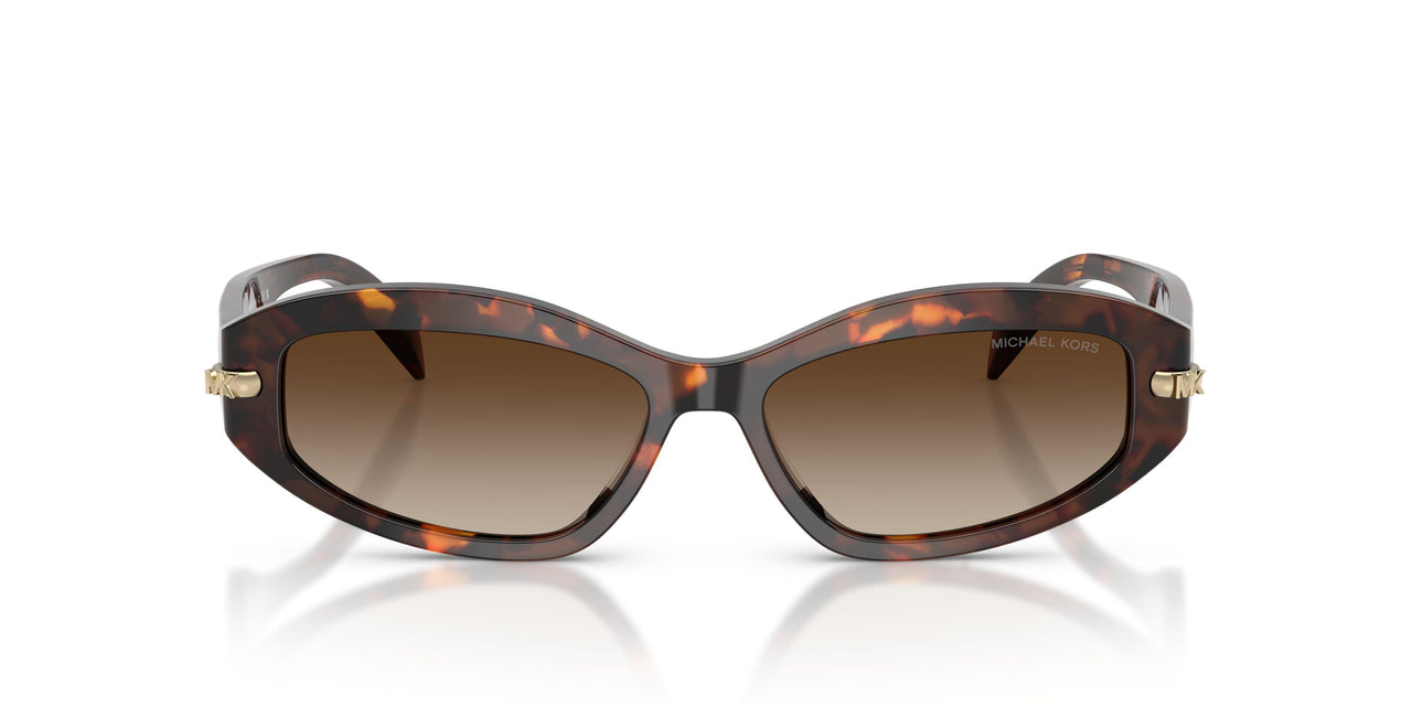 403113 - Tortoise - Smoke Gradient