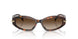 403113 - Tortoise - Smoke Gradient