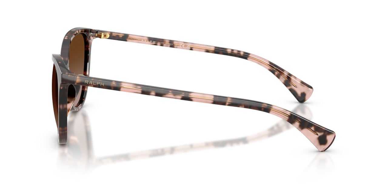 605813 - Tortoise - Gradient Brown