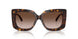 500213 - Tortoise - Gradient Brown