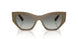 317511 - Brown - Gradient Dark Grey