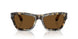 107157 - Tortoise - Brown Polar