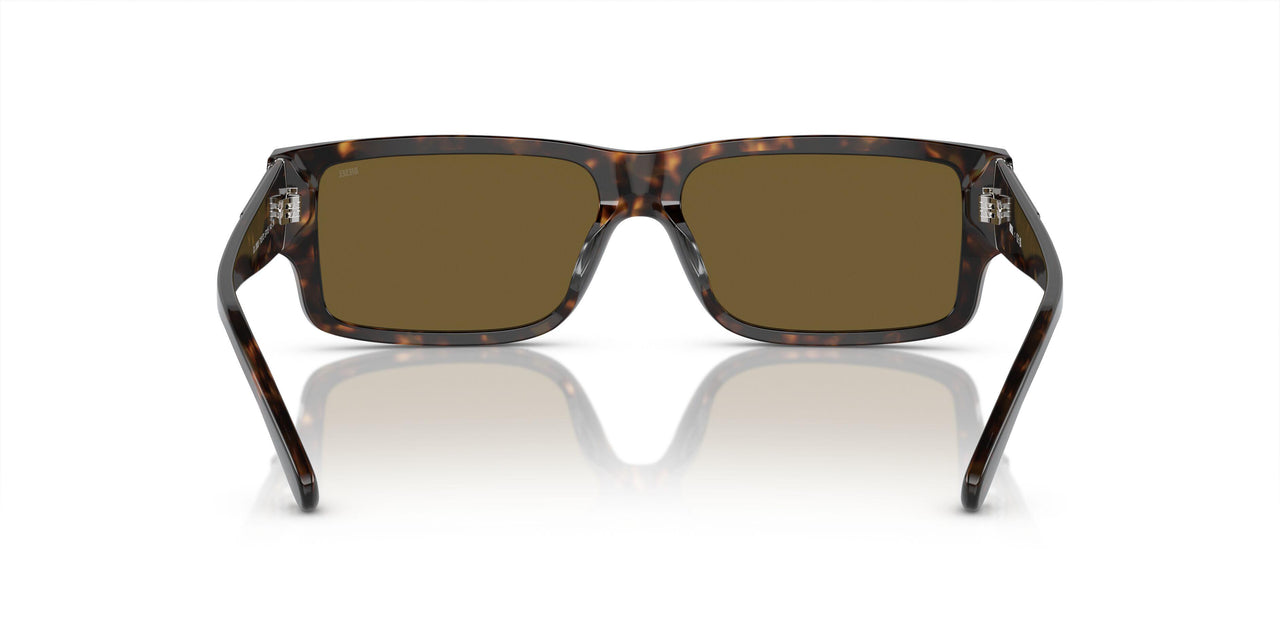 713/73 - Tortoise - Solid Brown
