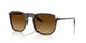 143185 - Yellow - Gradient Brown
