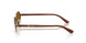 513883 - Brown - Dark Brown Polar