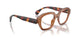 002 - Brown