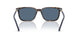 500380 - Tortoise - Dark Blue