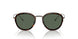 319871 - Havana - Green
