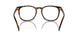 613773 - Tortoise - Brown