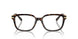 8015 - Tortoise