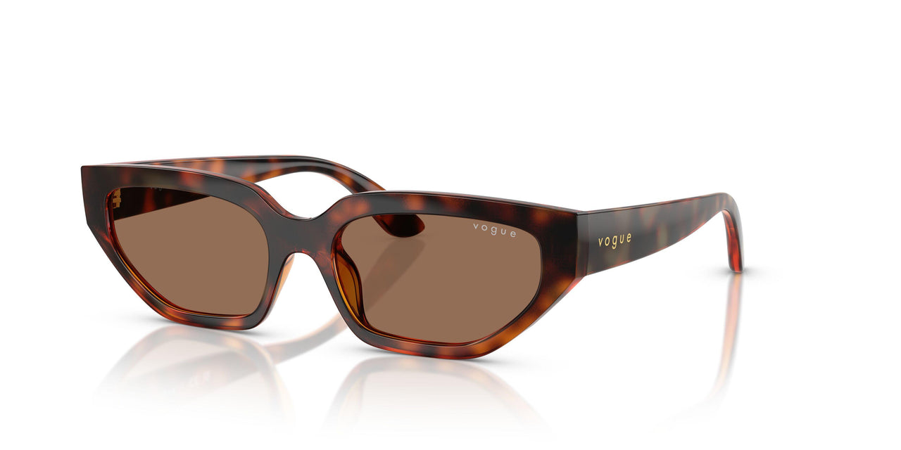 W65673 - Brown - Dark Brown